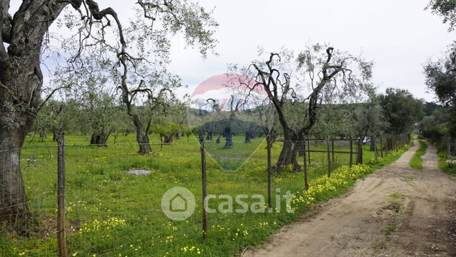 Terreno agricolo in commerciale in 