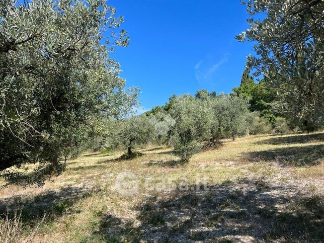 Terreno agricolo in commerciale in Via San Benedetto