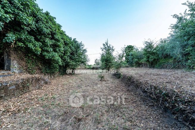 Rustico/casale in residenziale in Strada Statale 114 Orientale Sicula