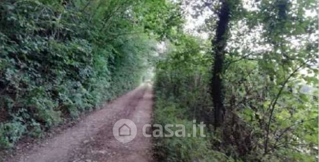 Terreno agricolo in commerciale in Via Altura