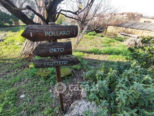 Terreno agricolo in commerciale in Via Colle di Mitriano
