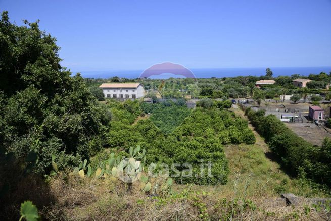 Terreno agricolo in commerciale in Via Carico 183