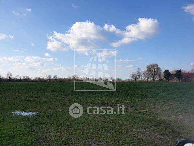 Terreno agricolo in commerciale in Strada Sacca