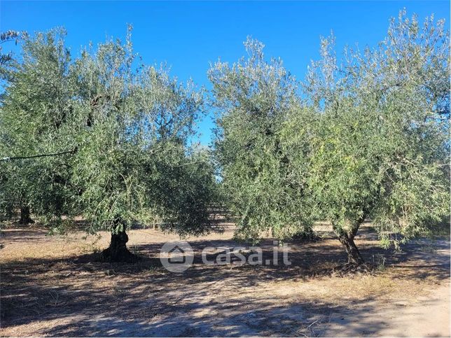 Rustico/casale in residenziale in Strada Provinciale 231