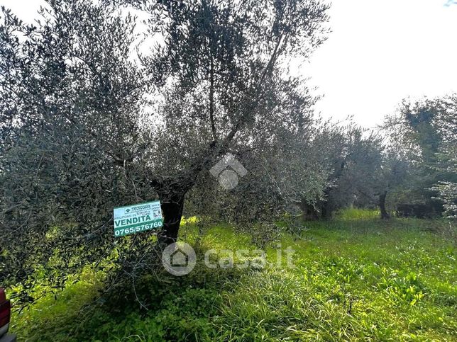 Terreno agricolo in commerciale in Via Tenerello 24