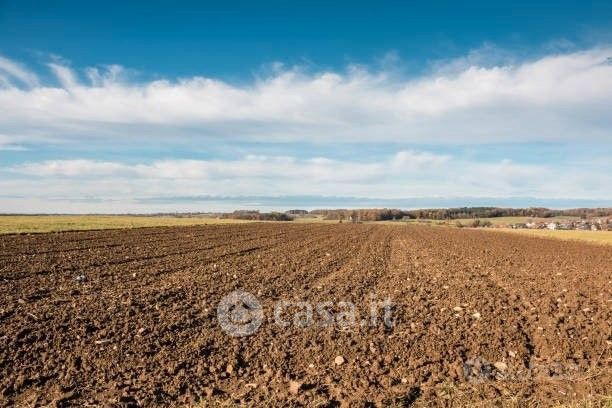 Terreno agricolo in commerciale in Via dei Greci 23