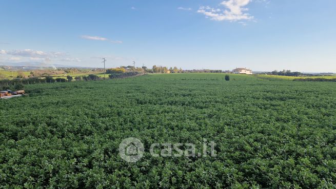 Terreno agricolo in commerciale in Via della riserva del pascolaro 66
