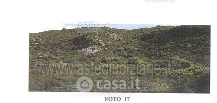 Terreno agricolo in commerciale in 