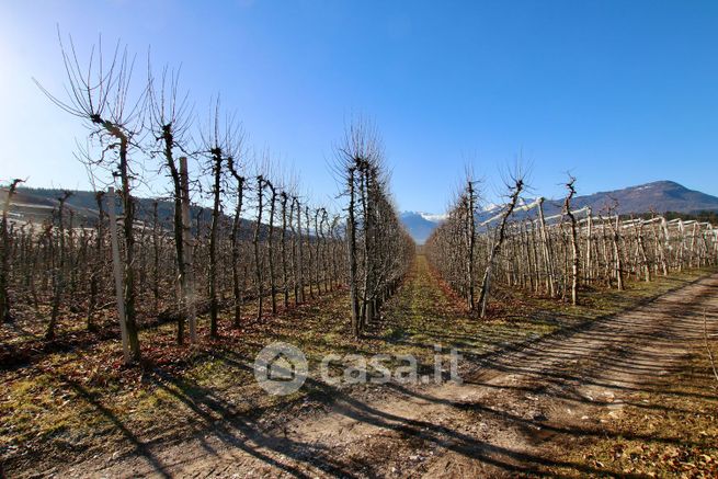 Terreno agricolo in commerciale in Via di Sadorni 2