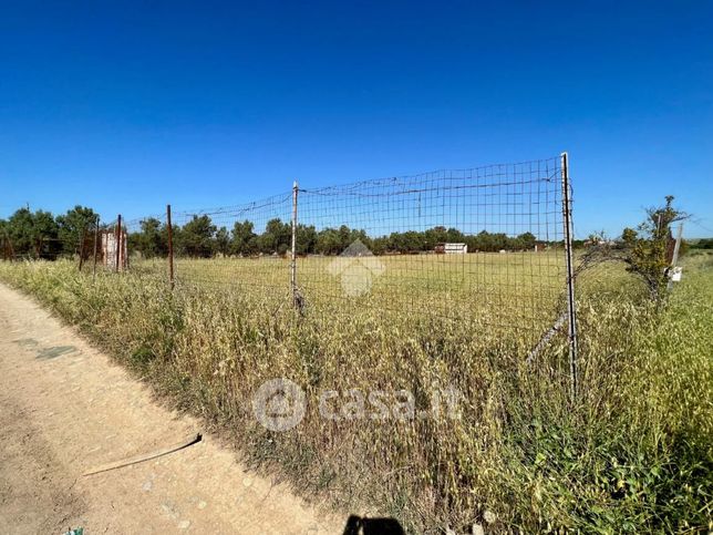 Terreno agricolo in commerciale in 