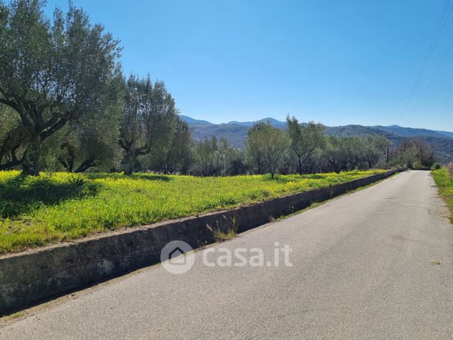 Terreno agricolo in commerciale in Loc. Mazzavacche