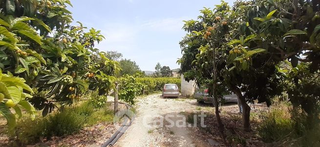 Terreno agricolo in commerciale in Contrada Catena