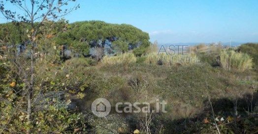 Terreno edificabile in residenziale in Via Le Casacce