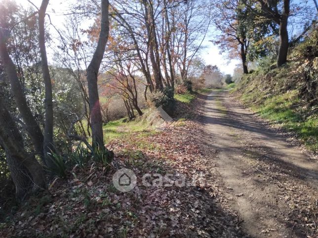 Terreno agricolo in commerciale in 