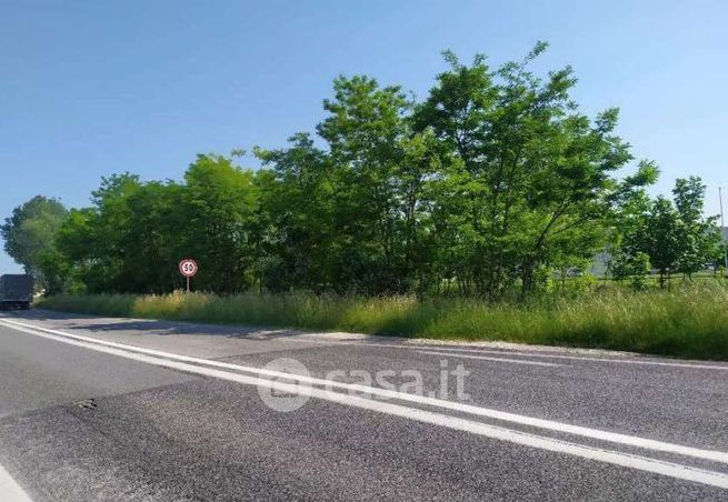 Terreno agricolo in commerciale in Corso Silvio Trentin