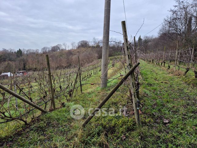 Terreno agricolo in commerciale in 