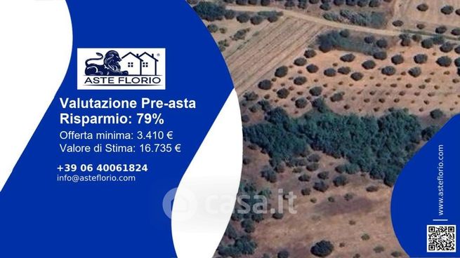 Terreno agricolo in commerciale in Contrada Serra Fucile