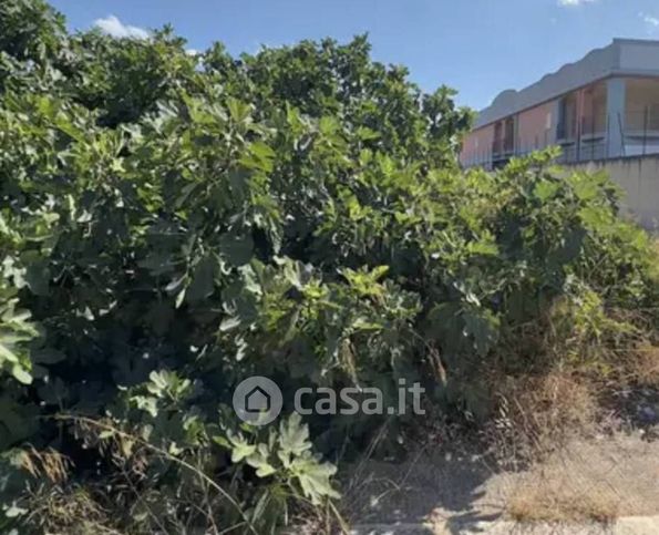 Terreno agricolo in commerciale in Via Vecchia Madonna dello Sterpeto