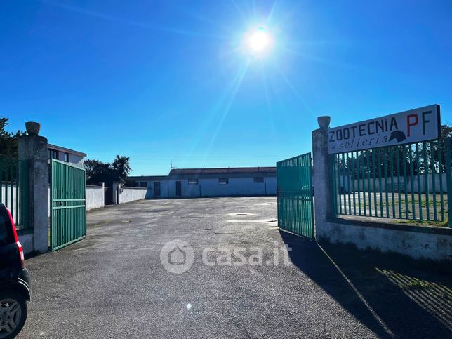 Capannone in commerciale in Via troia 530