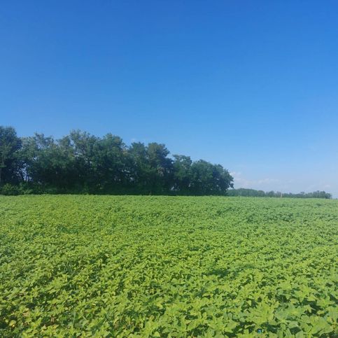 Terreno agricolo in commerciale in Via Roma