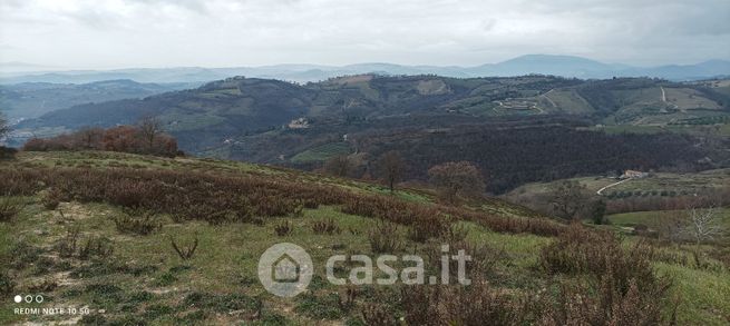 Terreno agricolo in commerciale in Monteverde