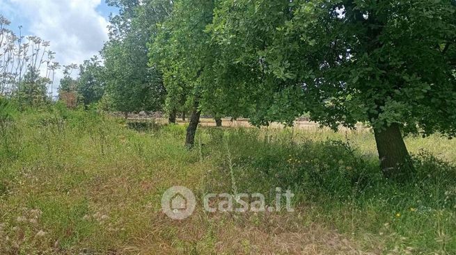 Terreno agricolo in commerciale in 