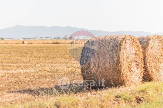 Terreno agricolo in commerciale in Strada Provinciale San Donato