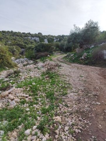 Terreno agricolo in commerciale in 