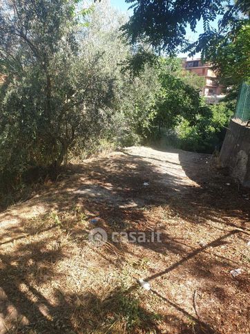 Terreno agricolo in commerciale in Via Giulio Roncacci 1
