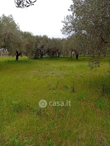 Terreno agricolo in commerciale in Via Bacco