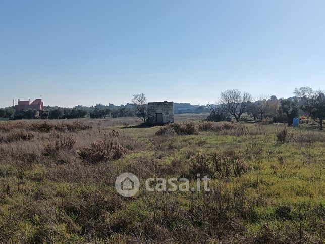 Terreno agricolo in commerciale in Via San Gregorio Armeno