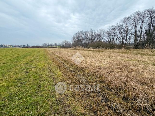 Terreno agricolo in commerciale in Via Piave