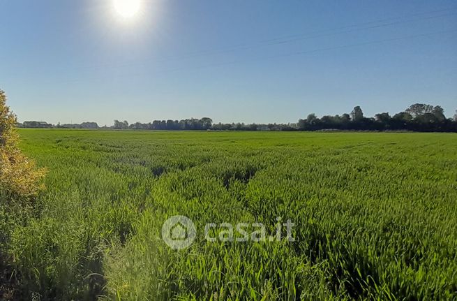 Terreno agricolo in commerciale in Via Cirgogno 58