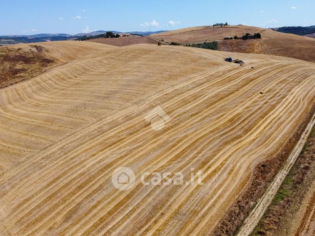 Terreno agricolo in commerciale in Località Farnesiana