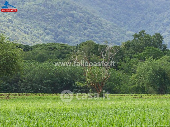Terreno agricolo in commerciale in Via Ausa
