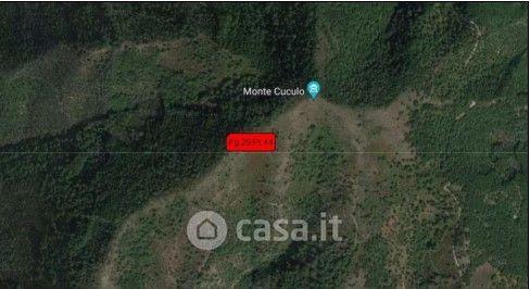 Terreno agricolo in commerciale in Monte Cuculo