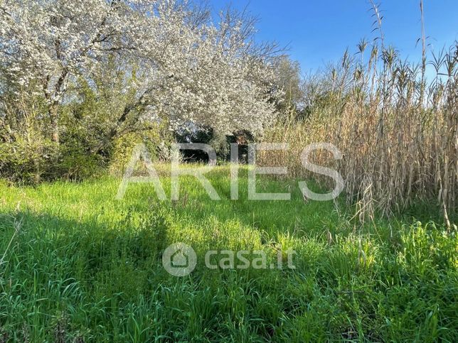 Terreno agricolo in commerciale in Via Ofella
