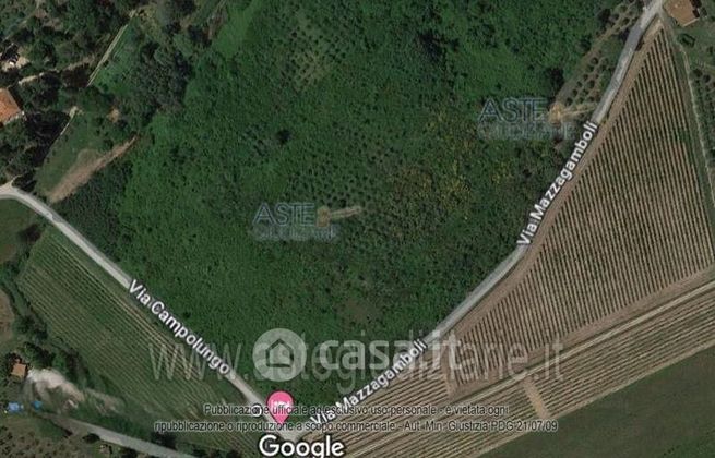 Terreno agricolo in commerciale in 