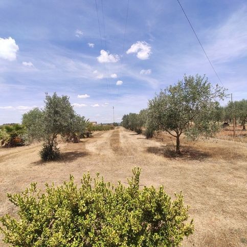 Terreno agricolo in commerciale in Contrada Soccorso