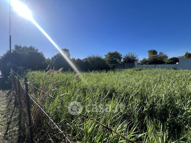 Terreno agricolo in commerciale in Via Conone