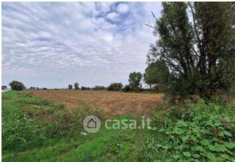 Terreno agricolo in commerciale in Strada Provinciale VII