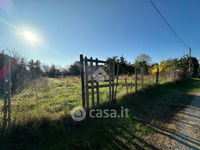 Terreno agricolo in commerciale in Via Ofella