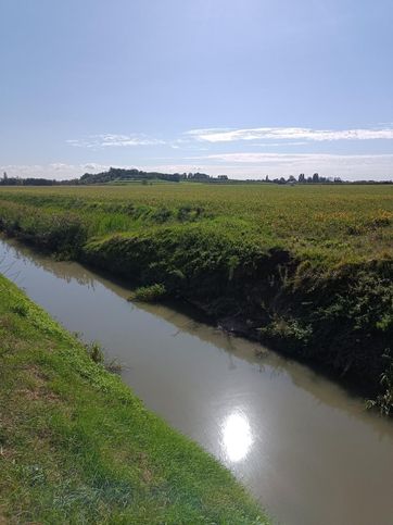 Terreno agricolo in commerciale in Via Rana