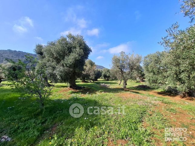 Terreno agricolo in commerciale in 