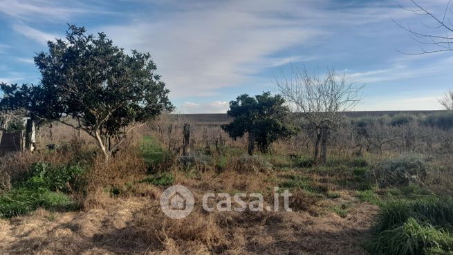 Terreno agricolo in commerciale in Strada di San Luigi 200