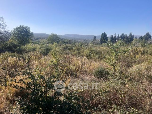 Terreno agricolo in commerciale in Strada Provinciale 5