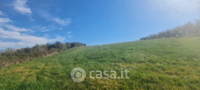 Terreno agricolo in commerciale in Località Lasignano