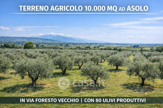 Terreno agricolo in commerciale in Via Foresto di Casonetto