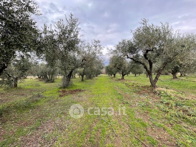 Terreno agricolo in commerciale in Località TINTEROSSE