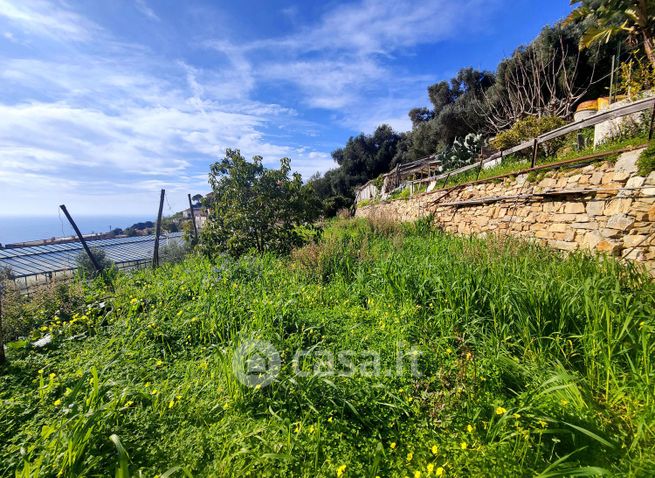 Terreno agricolo in commerciale in Strada San Pietro di Levante